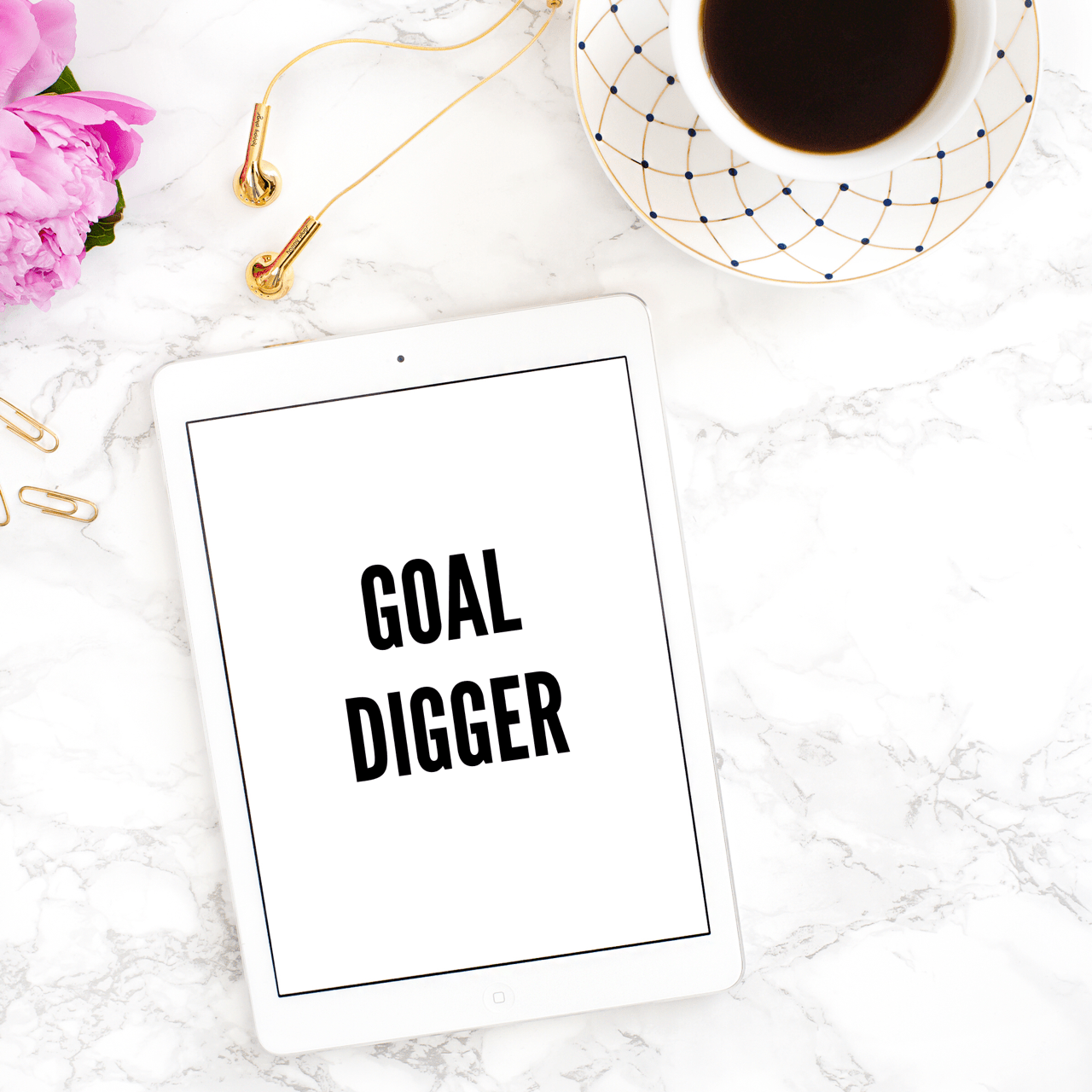 goal digger essay